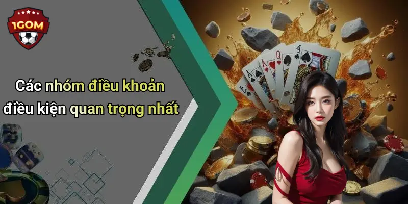Các nhóm điều khoản điều kiện quan trọng nhất
