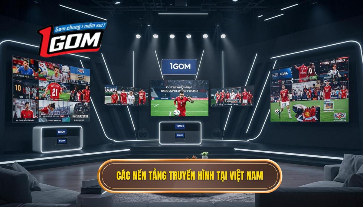 I. Các Nền Tảng Truyền Hình Chính Thức Tại Việt Nam